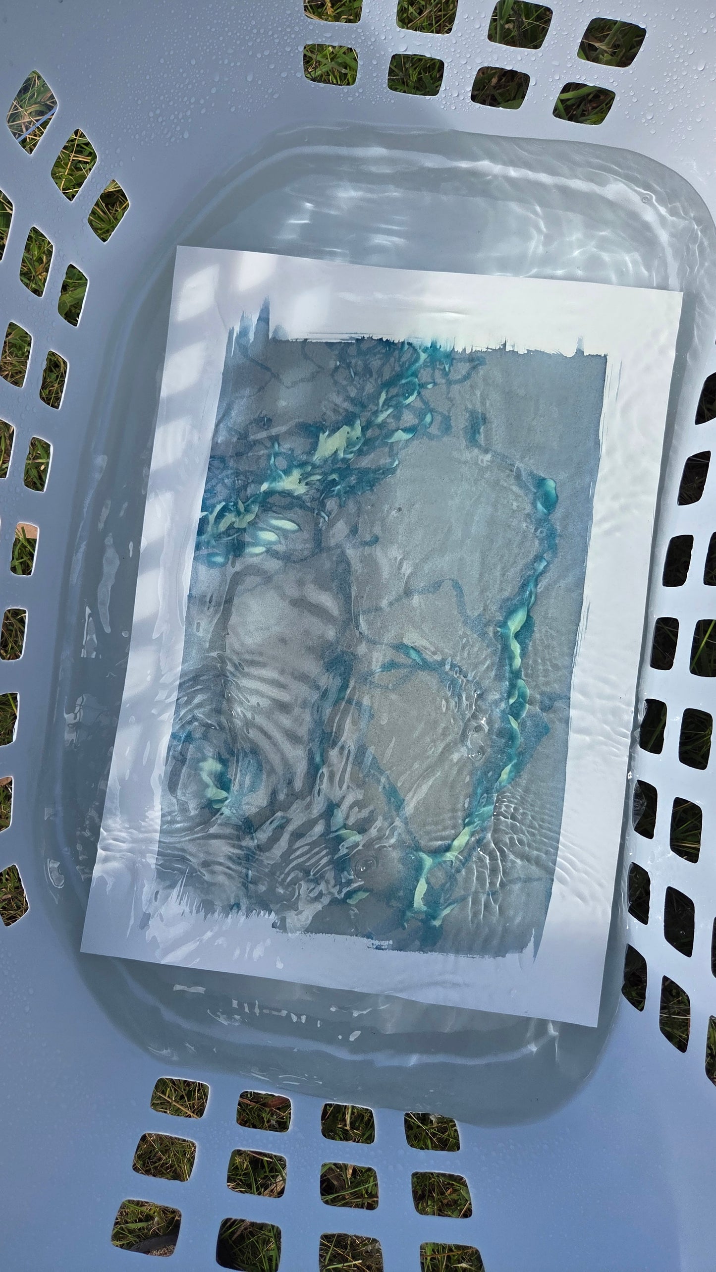 Deepest Blue | Cyanotype Print
