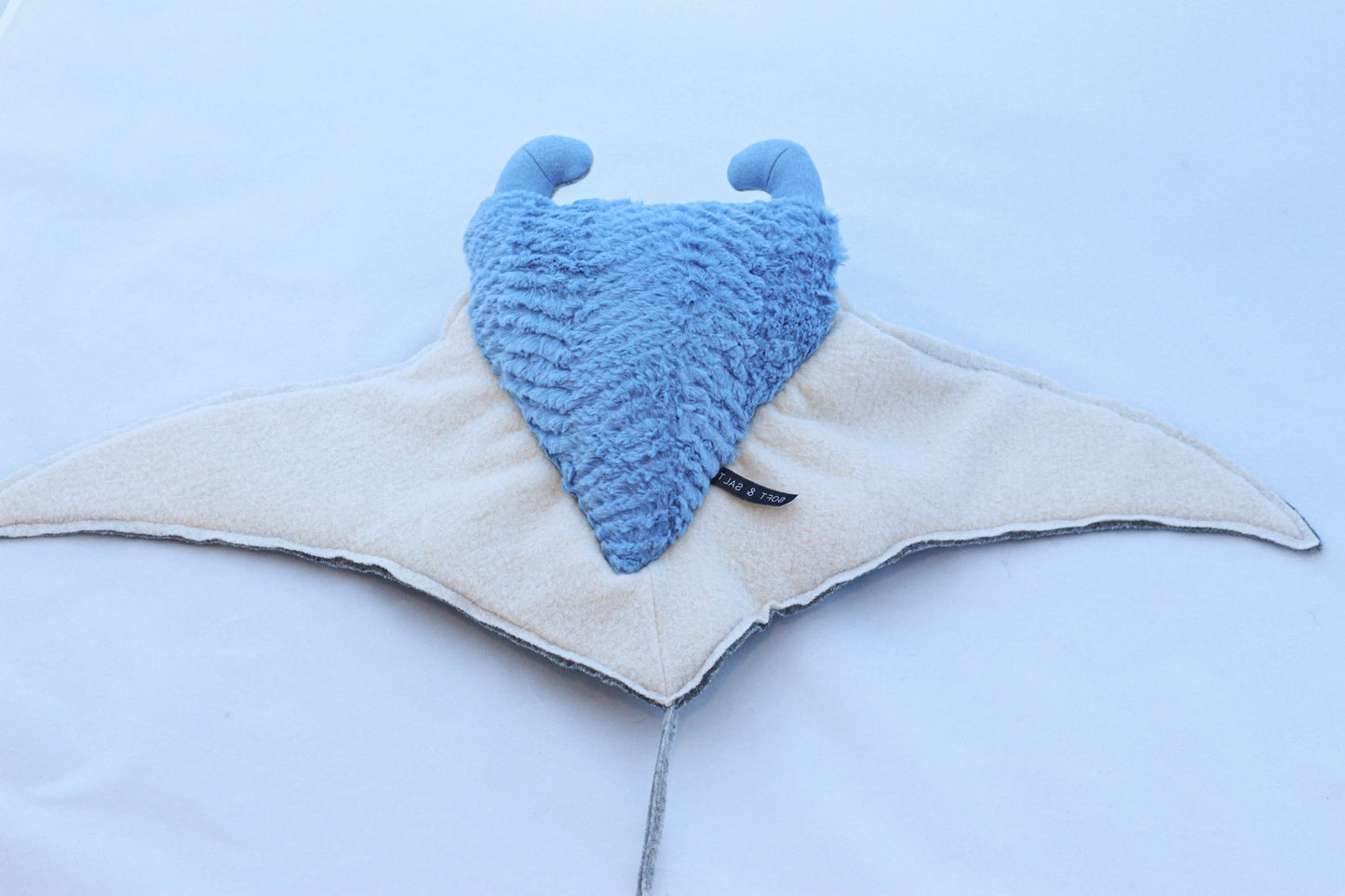 Manta Ray Pup