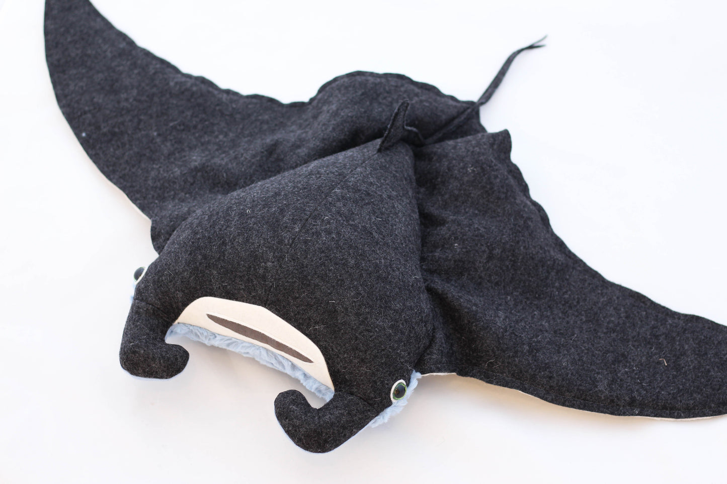 Andre the Manta Ray