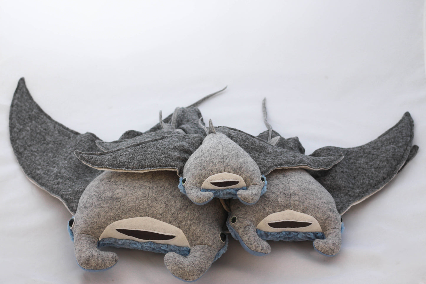 Raelene the Manta Ray