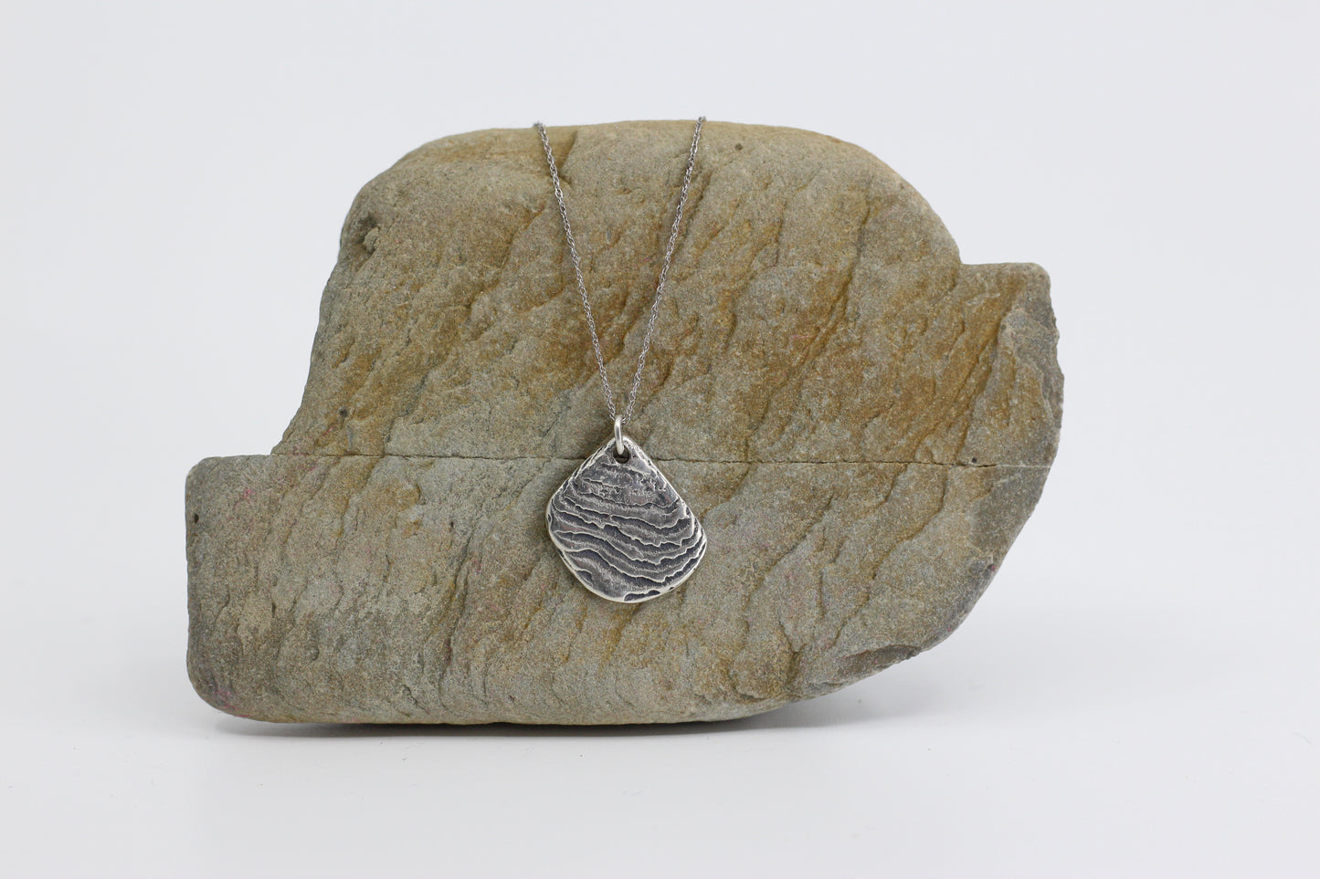 Disco Mollusc Necklace