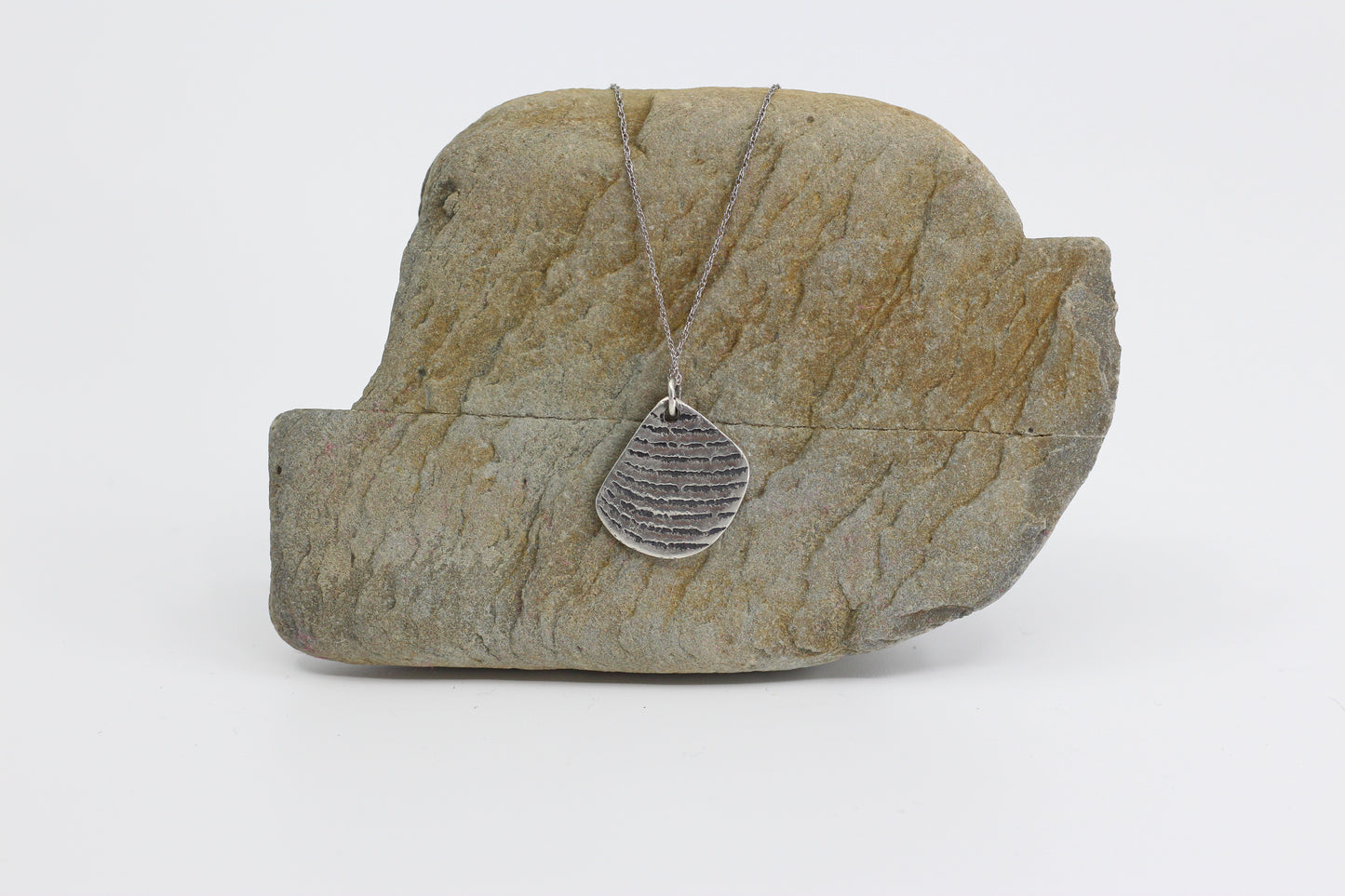 Disco Mollusc Necklace