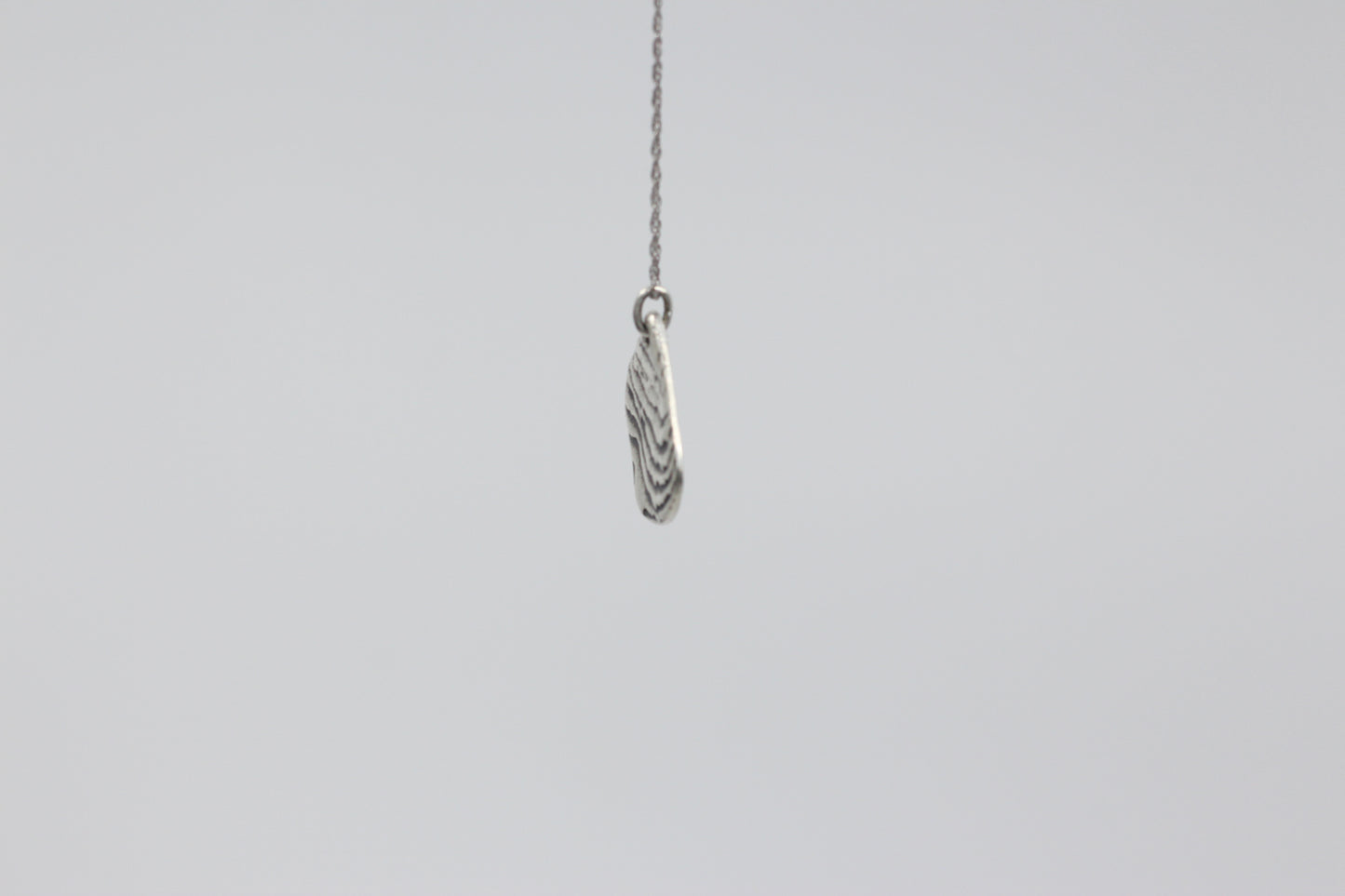Disco Mollusc Necklace