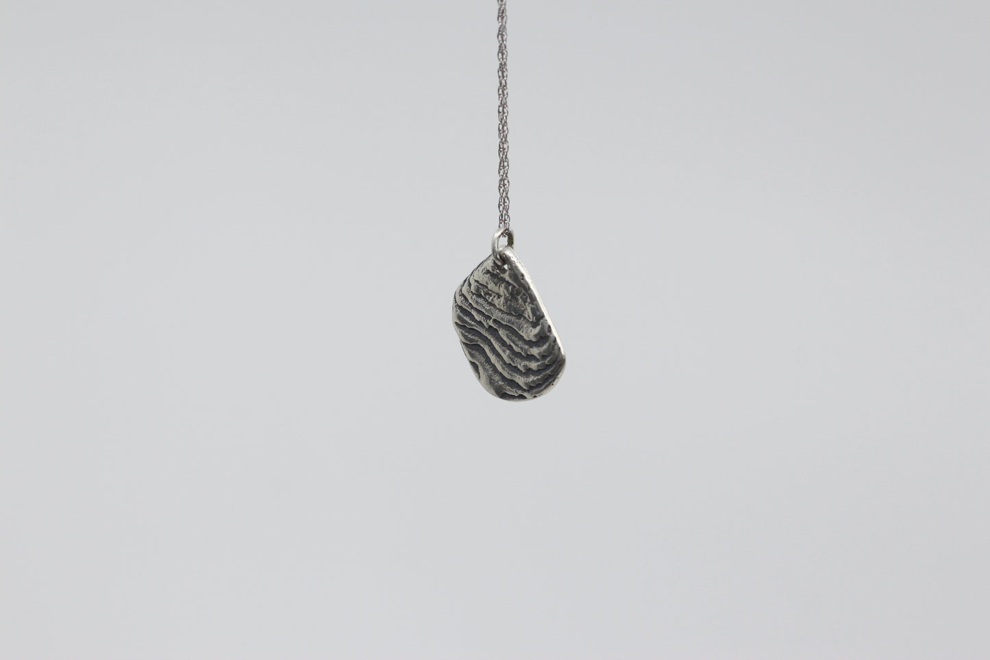Disco Mollusc Necklace