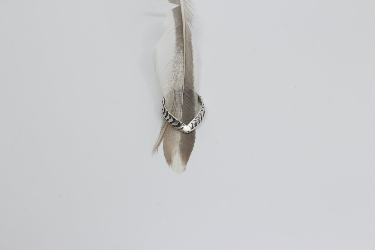 Aquila Audax Ring