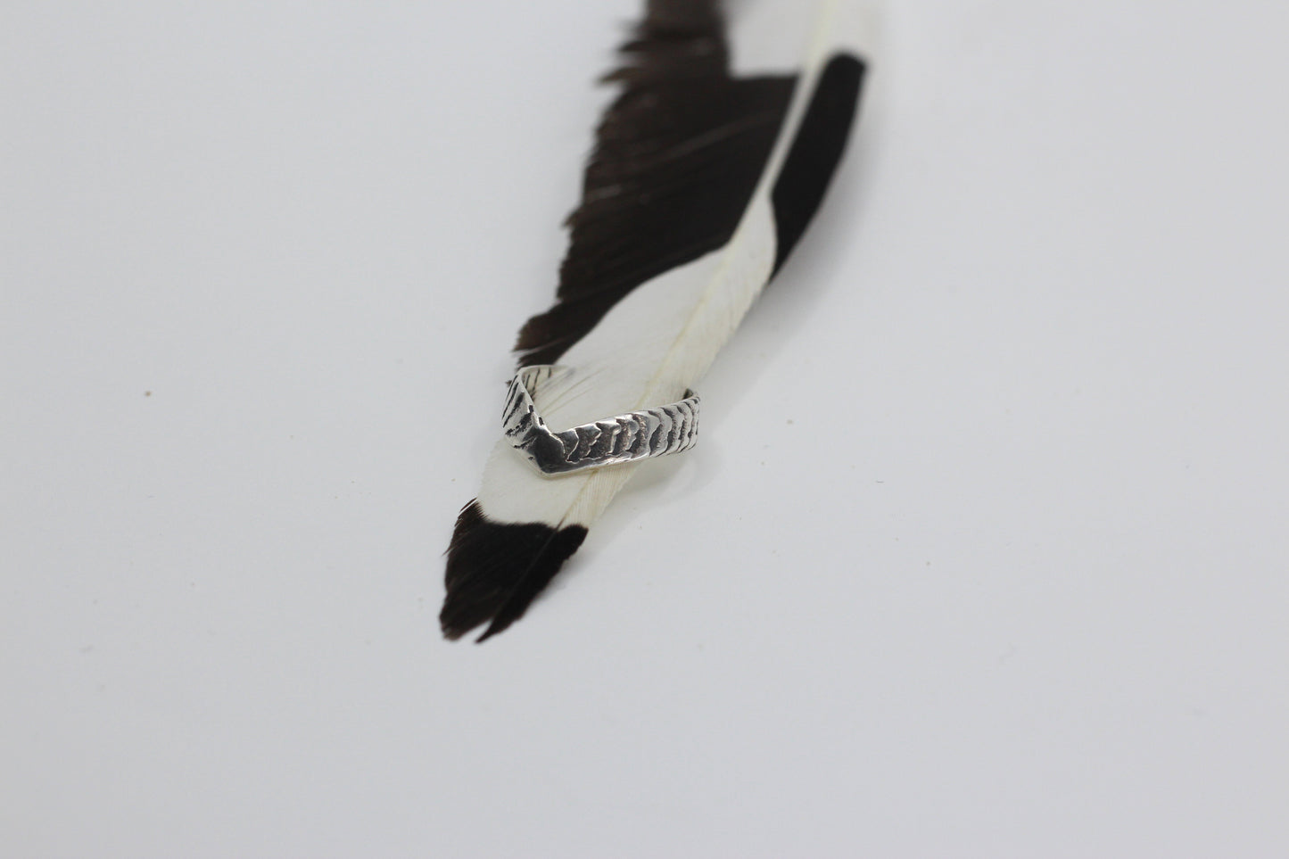 Aquila Audax Ring