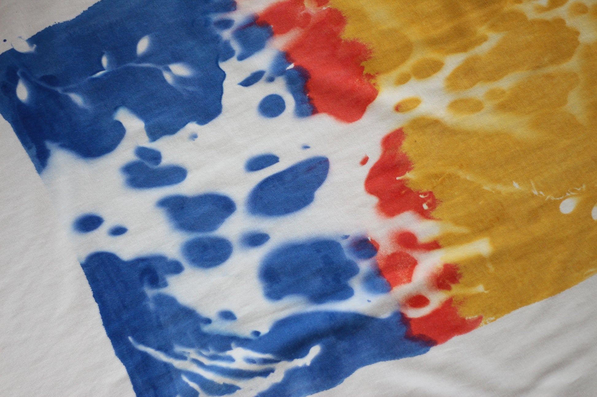 GOTS organic cotton graphic tee hand-printed using bull kelp