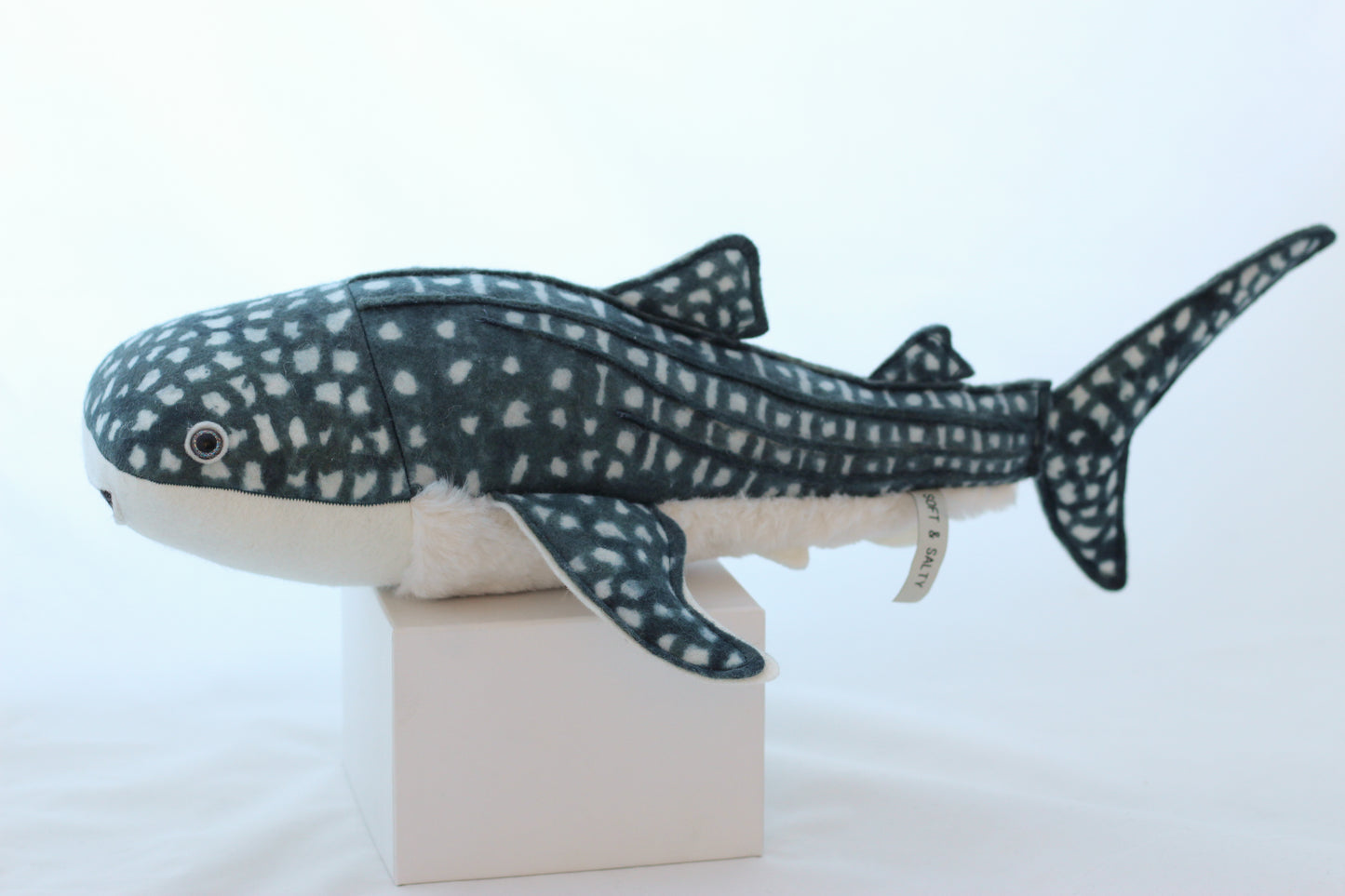 Whale Shark Pup