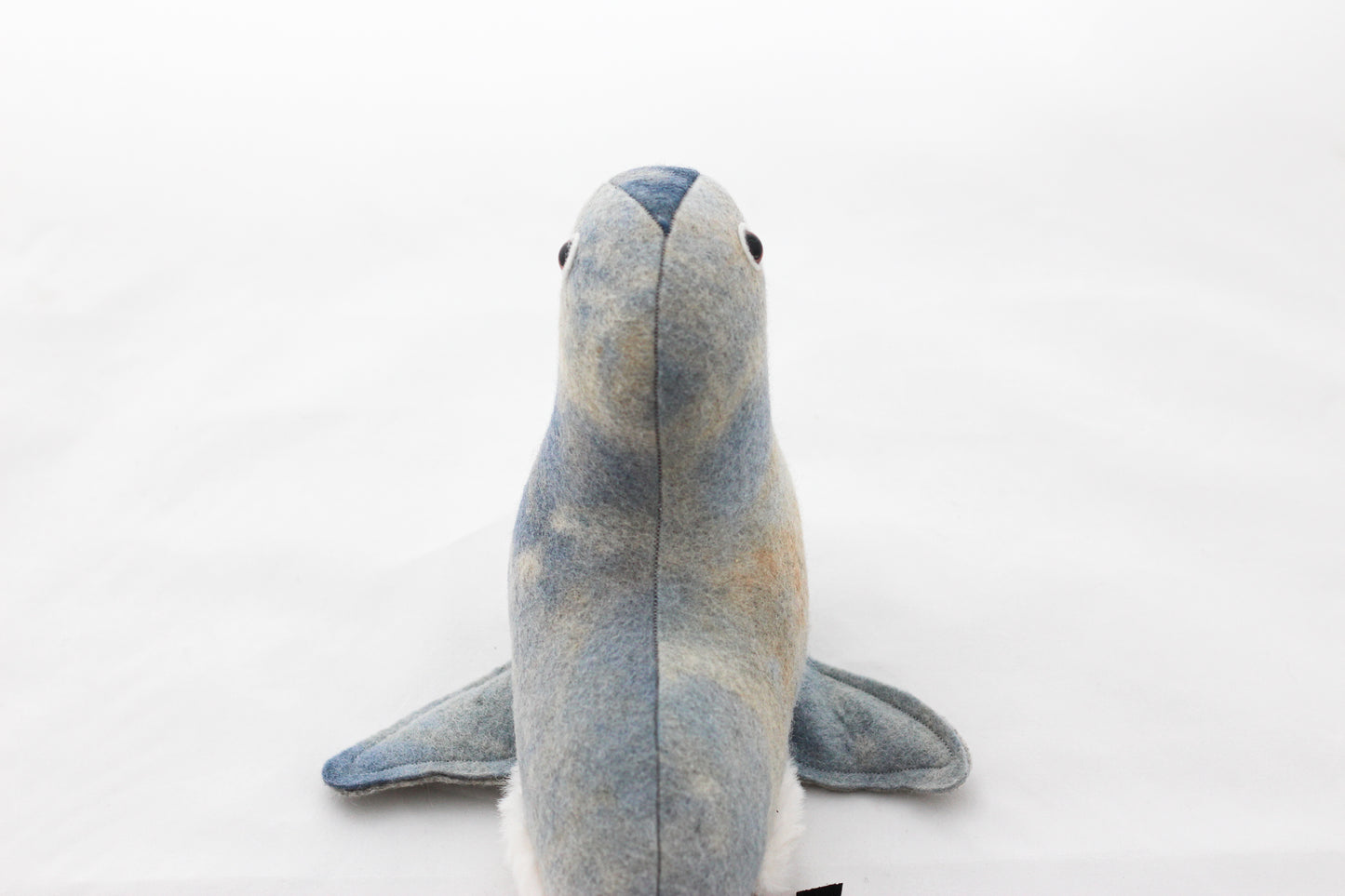Plush toy seal on a white background