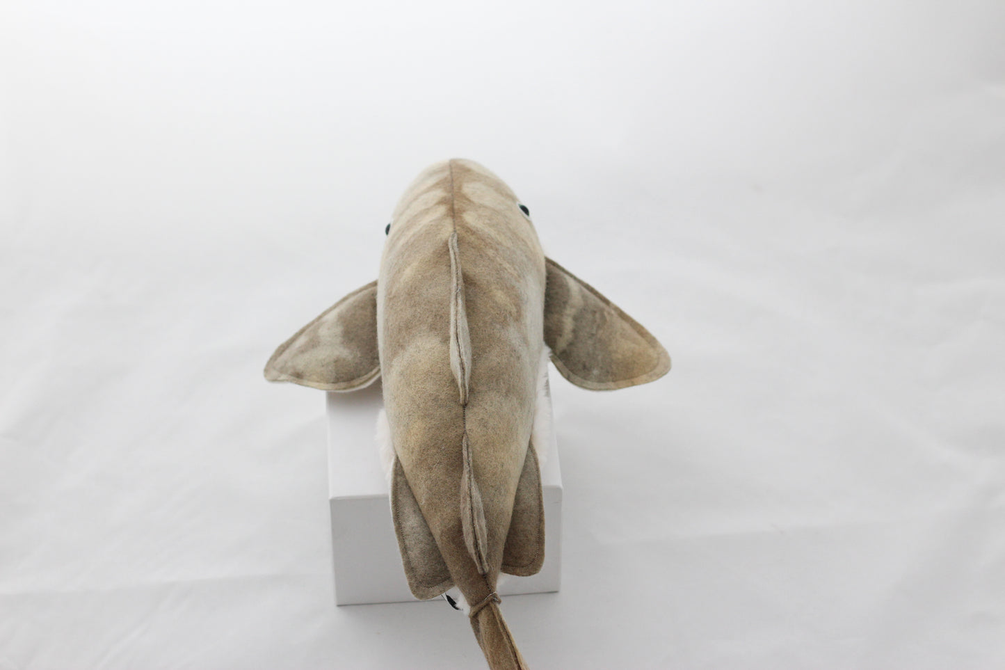 Zebra Shark Pup | Kelp-Dyed