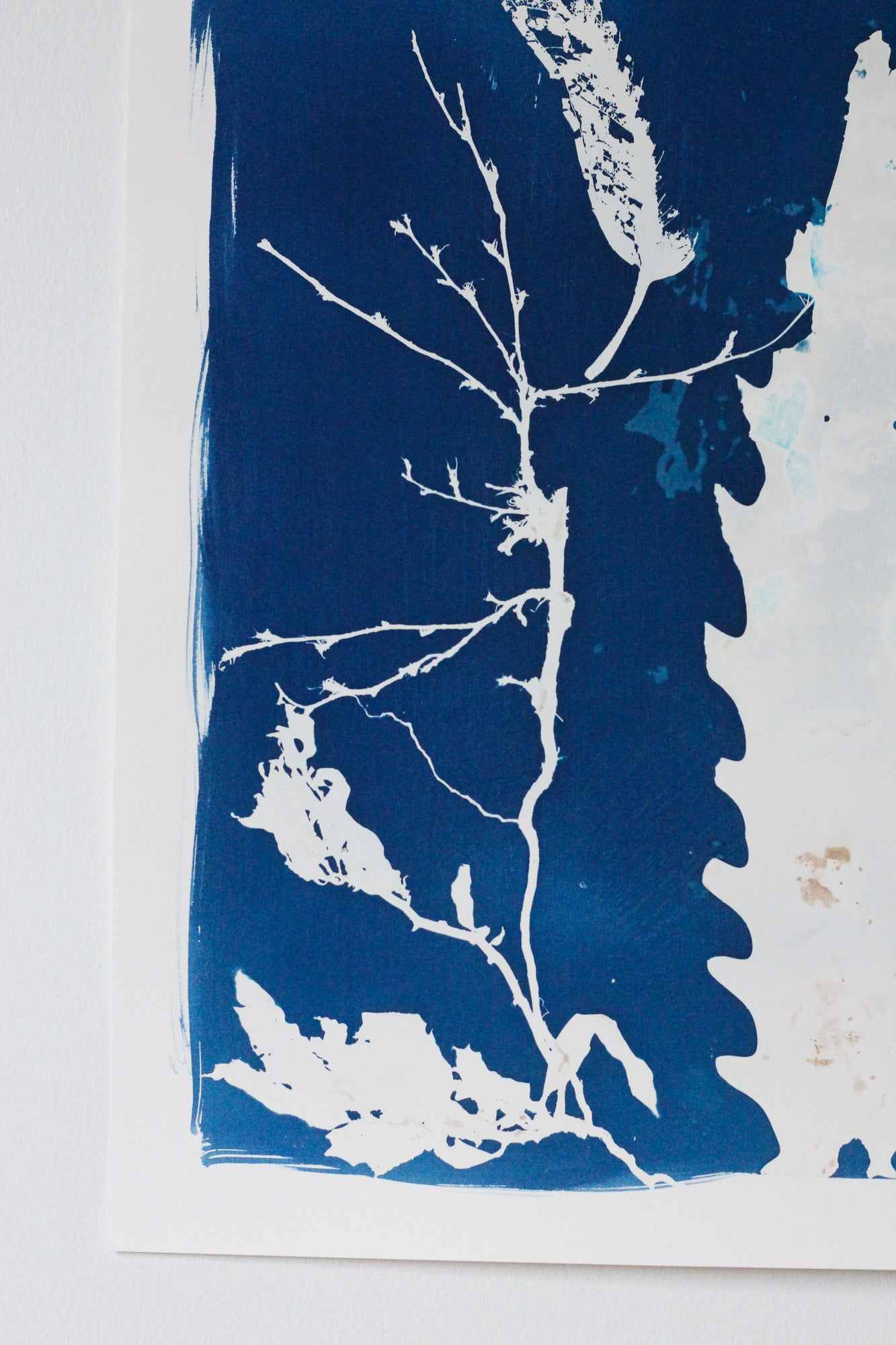 Forest Between Tides | Cyanotype Print