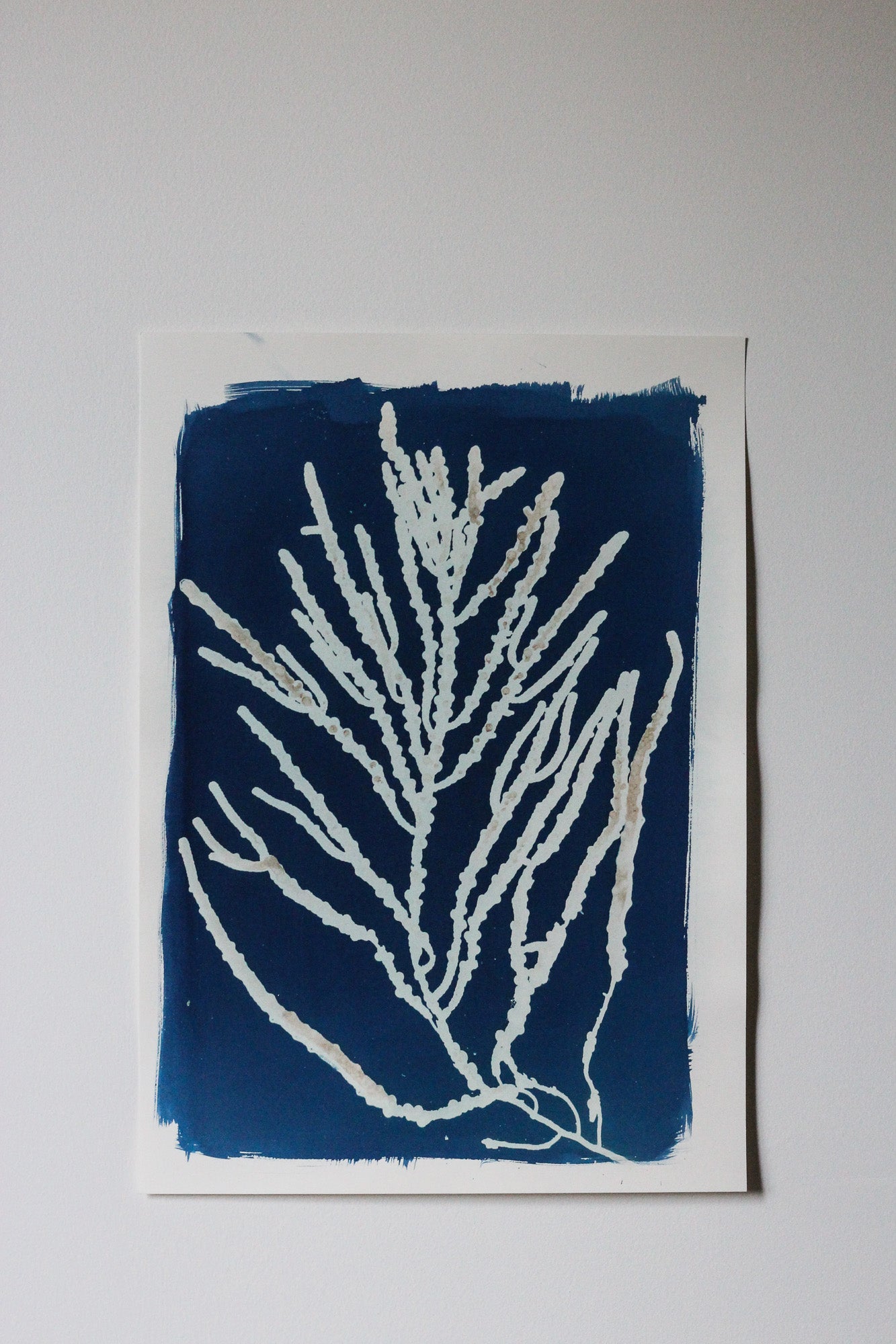 A square art print featuring a white seaweed design on a deep blue background.