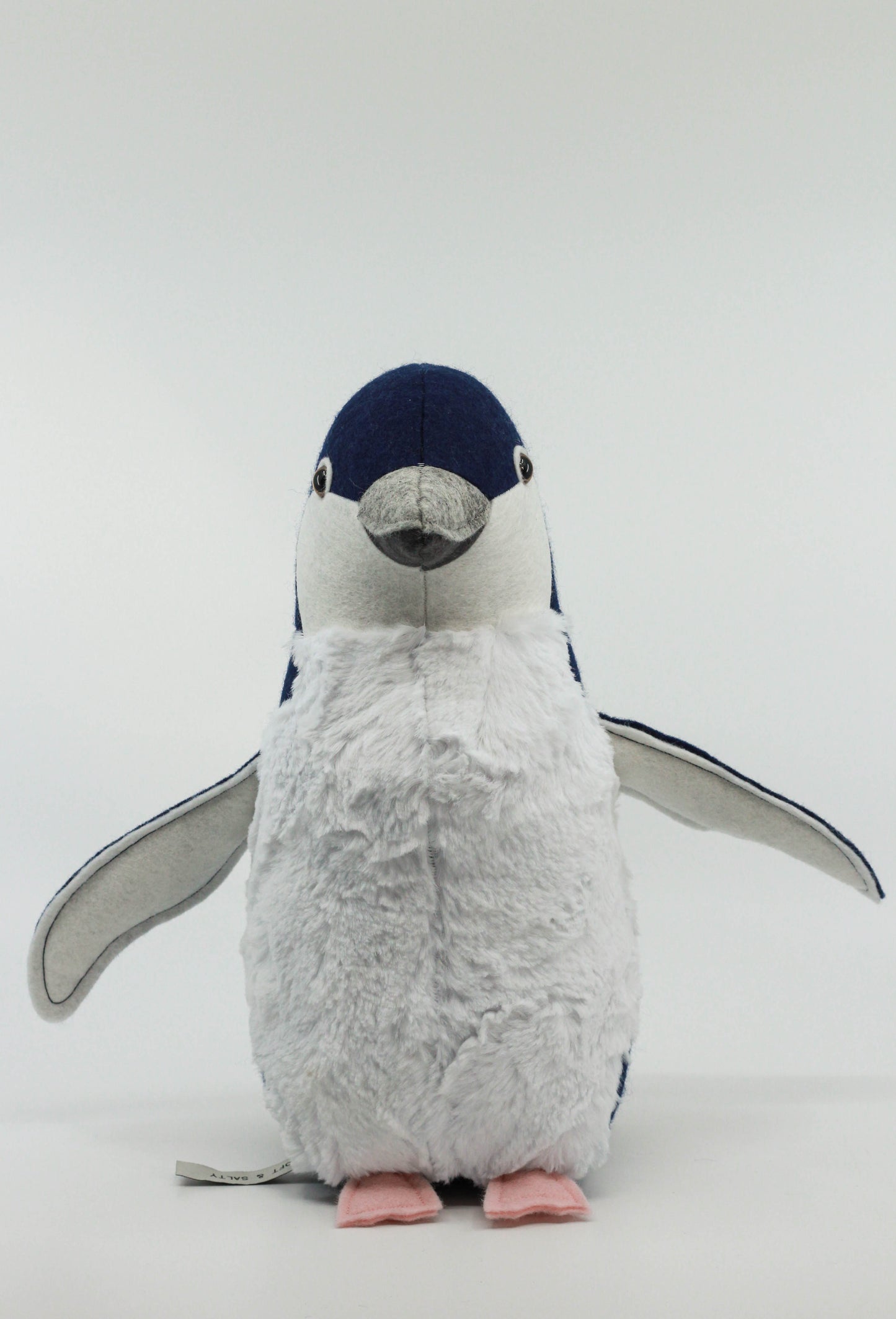 Pearl the Little Blue Penguin