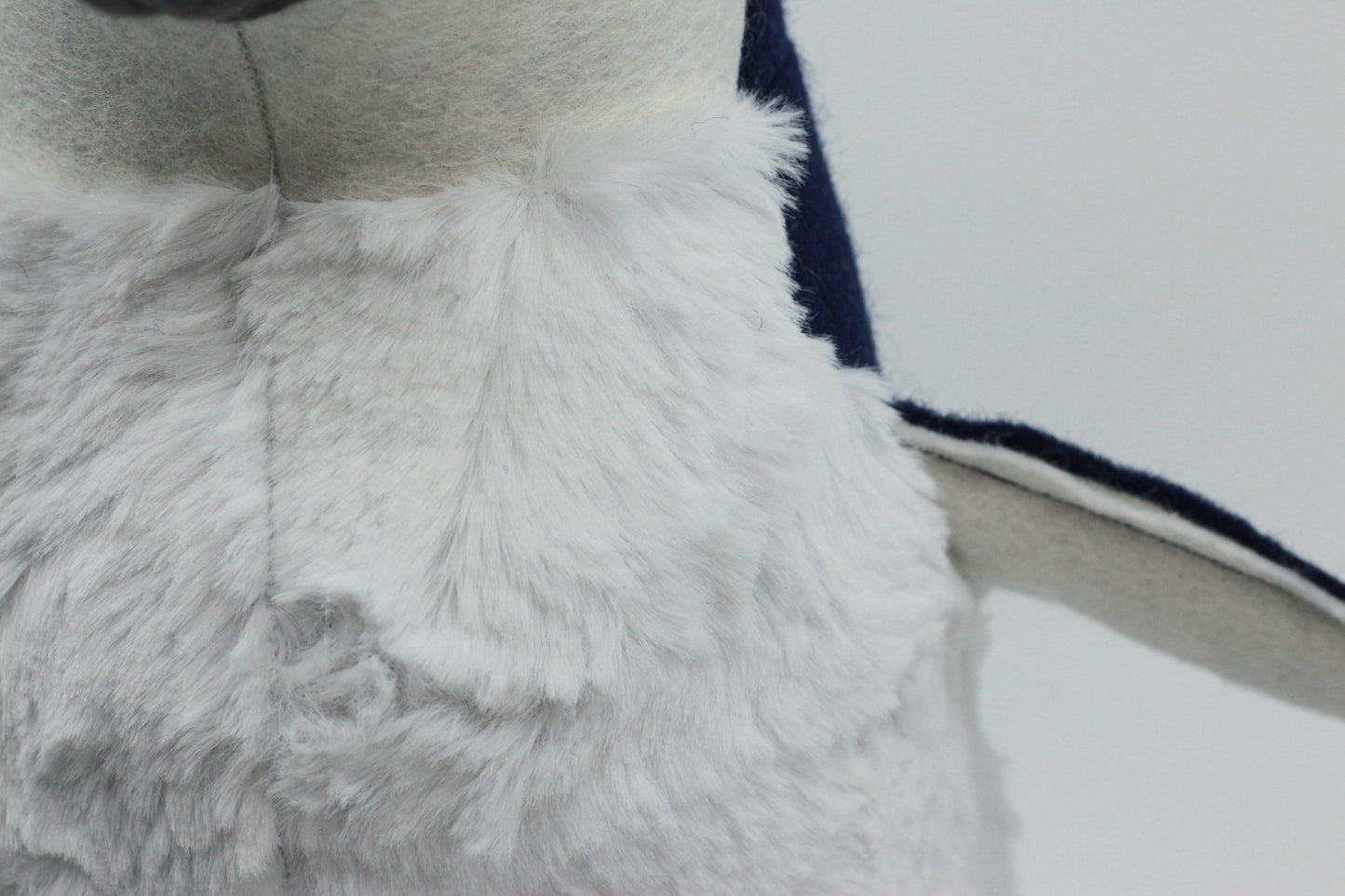 Pearl the Little Blue Penguin