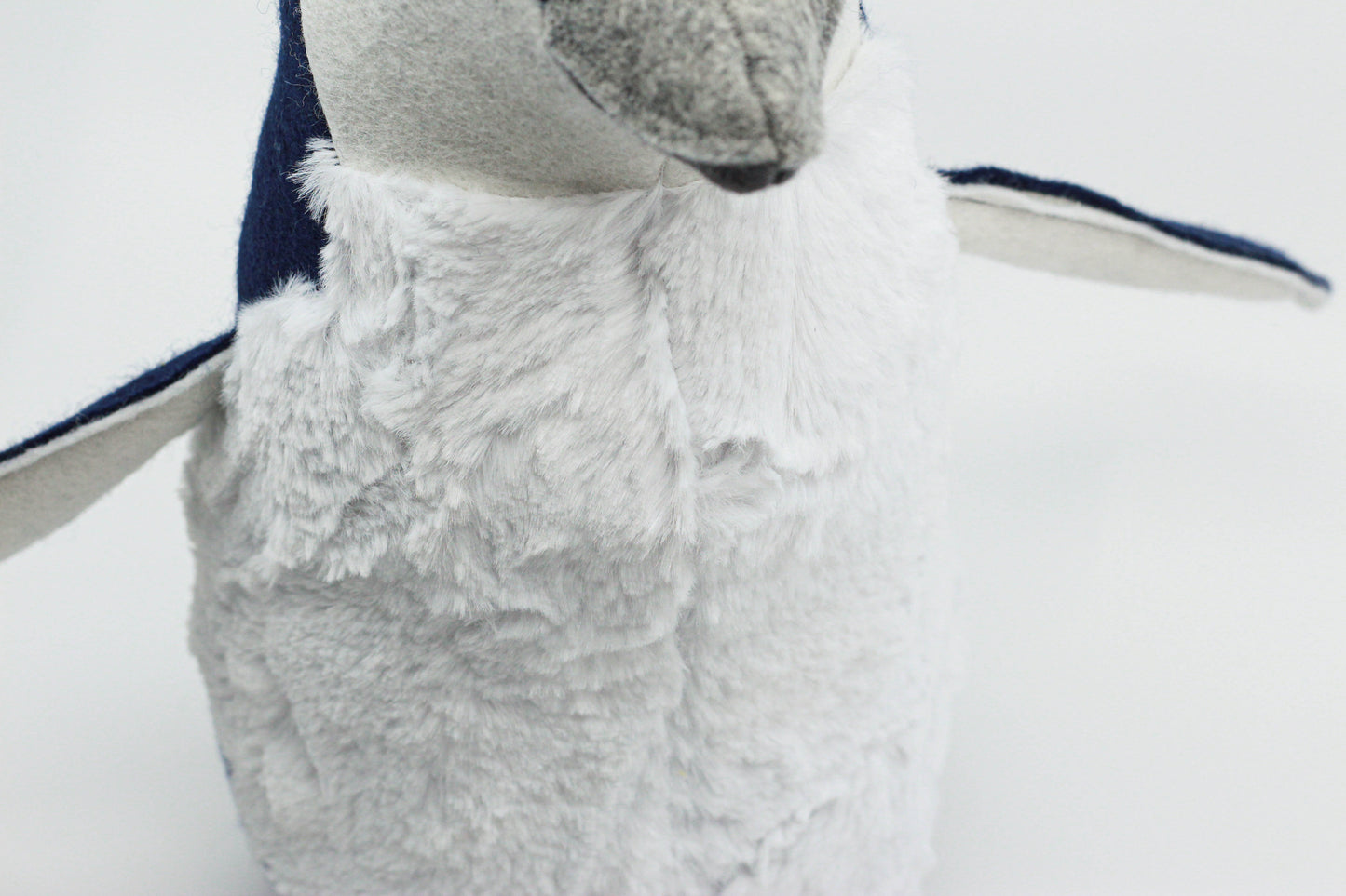 Pearl the Little Blue Penguin