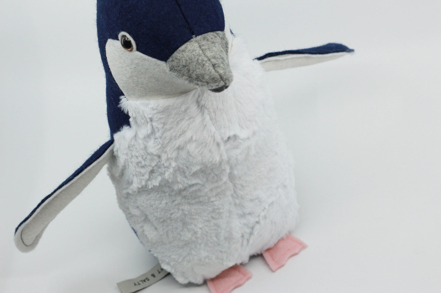 Pearl the Little Blue Penguin
