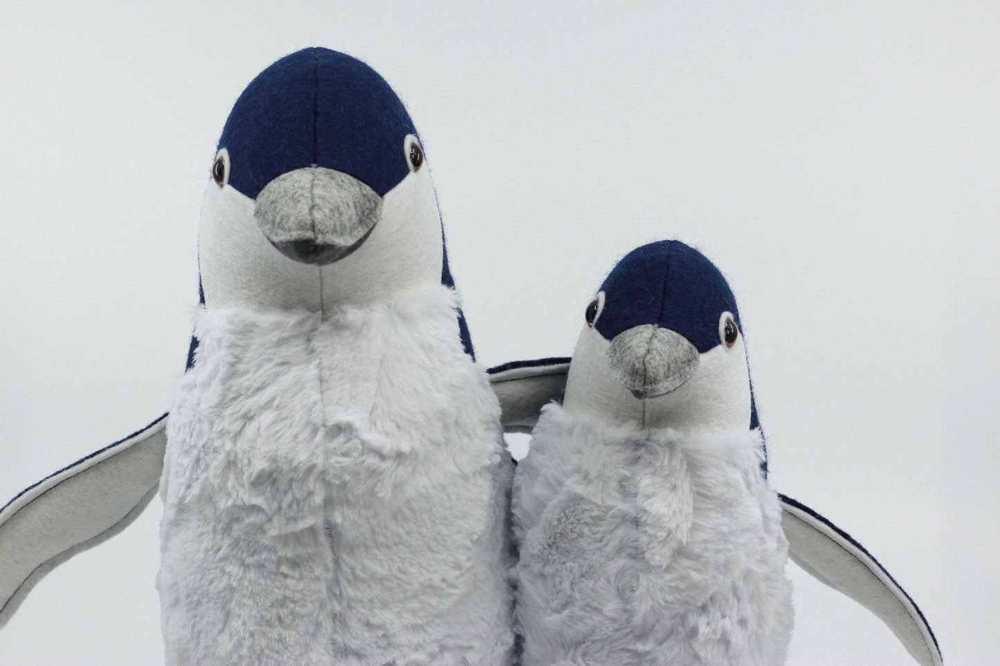 Pearl the Little Blue Penguin
