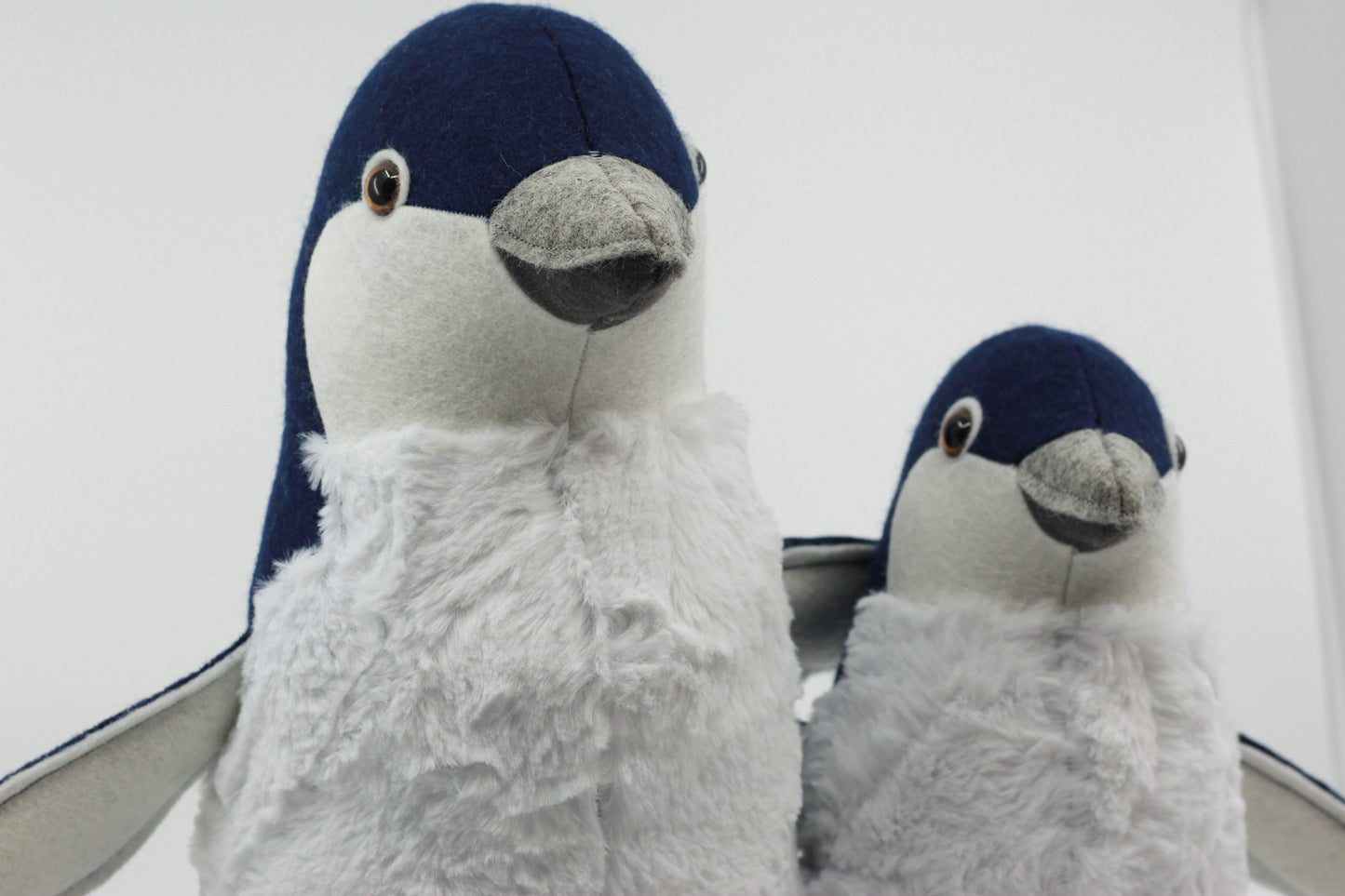 Pearl the Little Blue Penguin