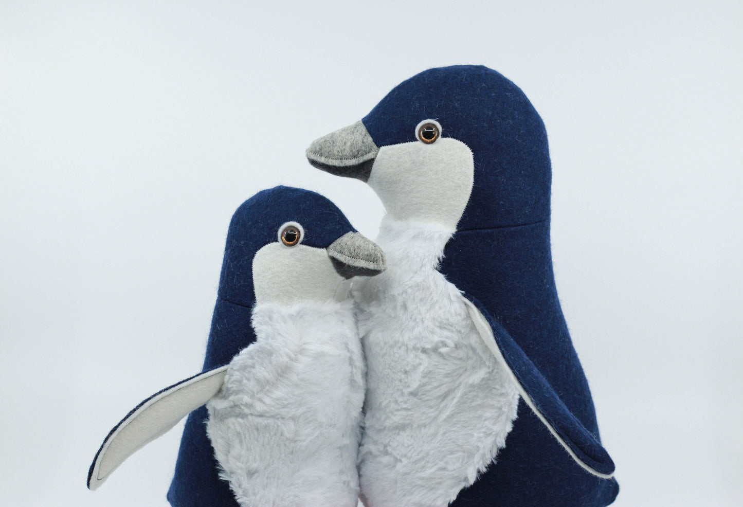 Little Blue Penguin Chick