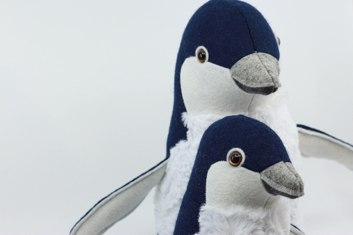 Little Blue Penguin Chick