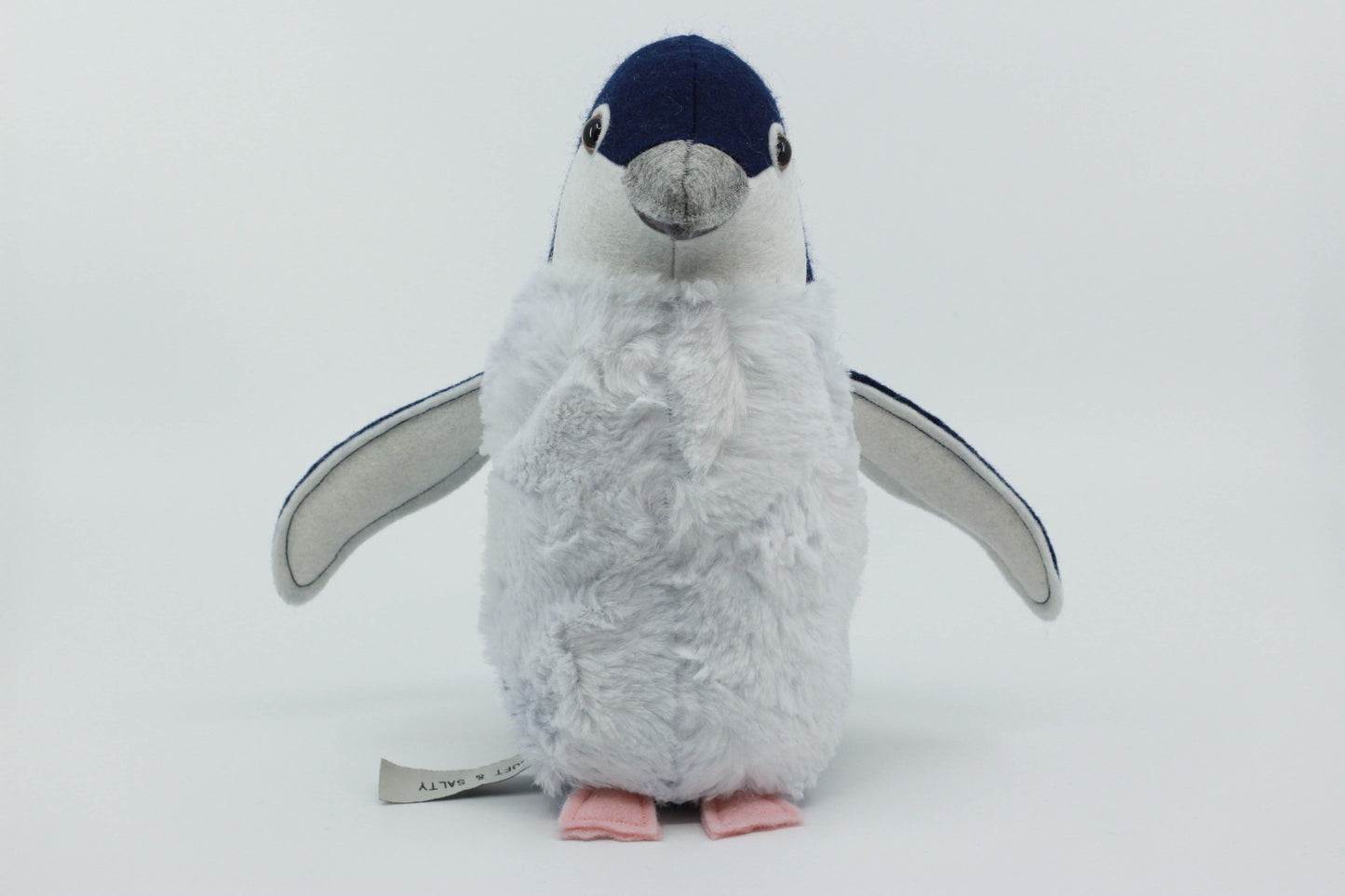 Little Blue Penguin Chick
