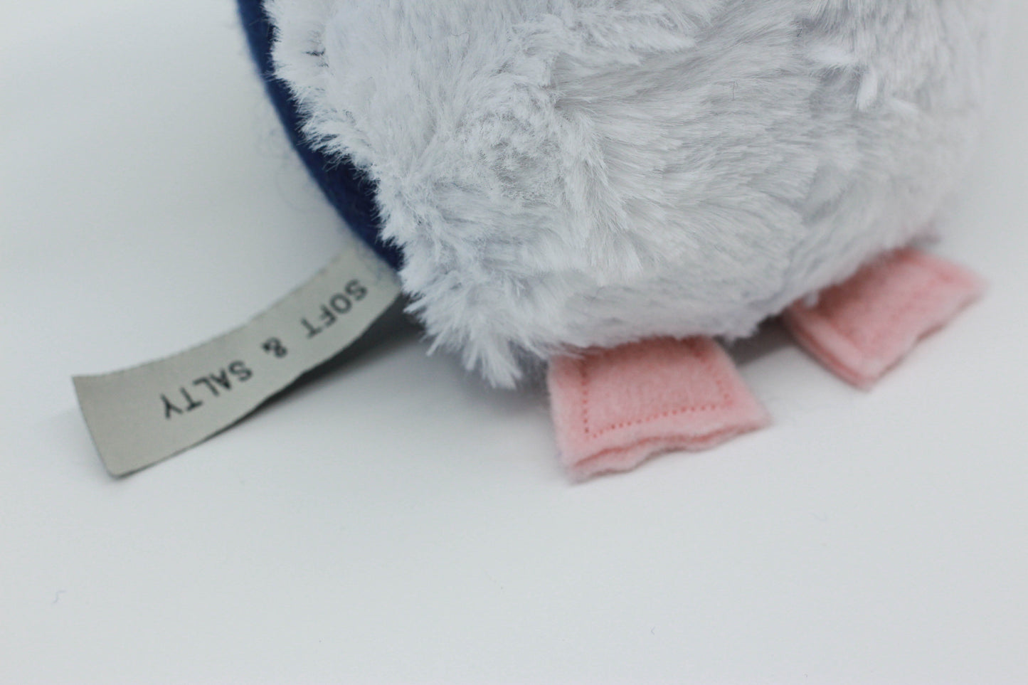 Little Blue Penguin Chick