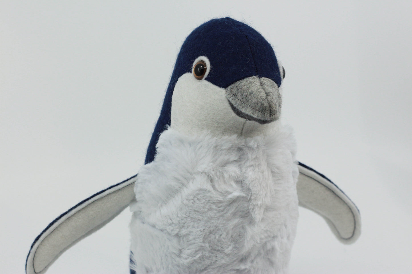 Little Blue Penguin Chick