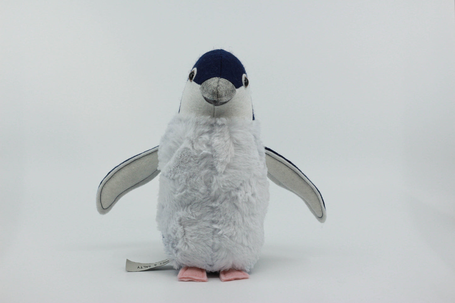 Little Blue Penguin Chick
