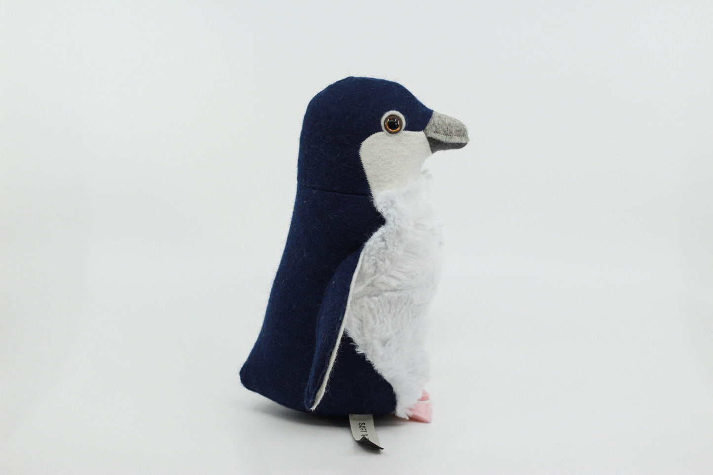 Little Blue Penguin Chick