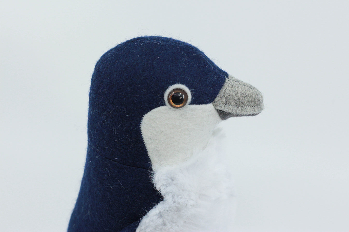 Little Blue Penguin Chick