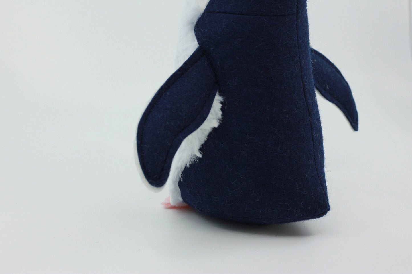 Little Blue Penguin Chick