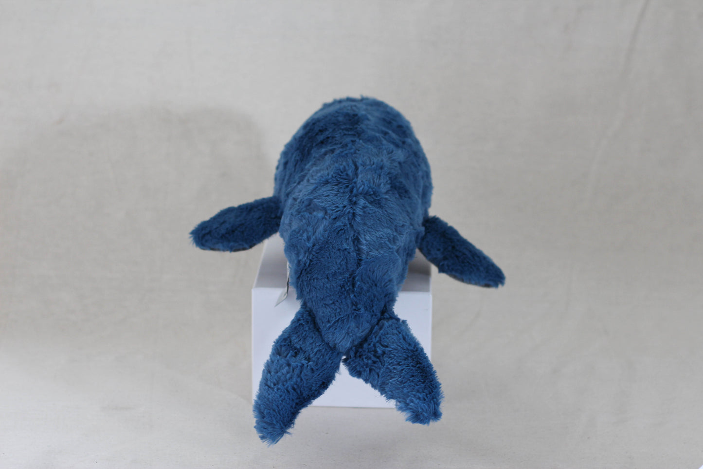 Southern Fluff Whale Calf