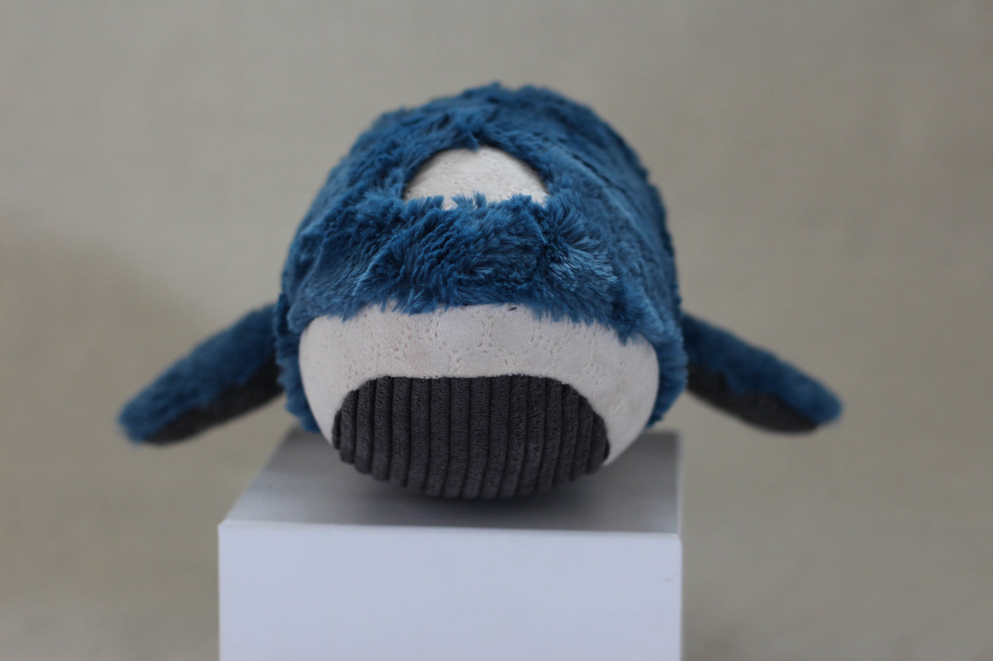 Southern Fluff Whale Calf