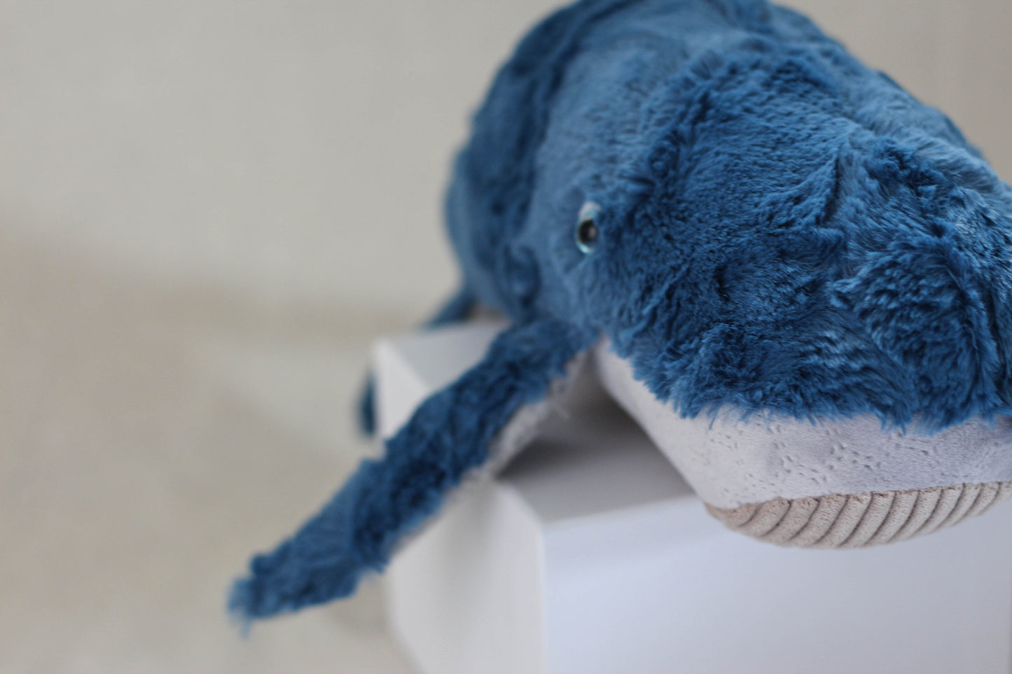 Fluffback Whale Calf