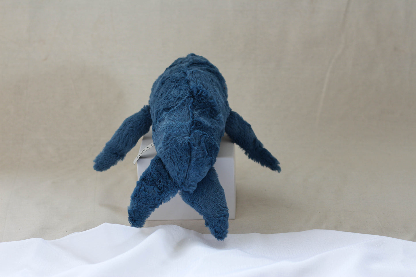 Fluffback Whale Calf