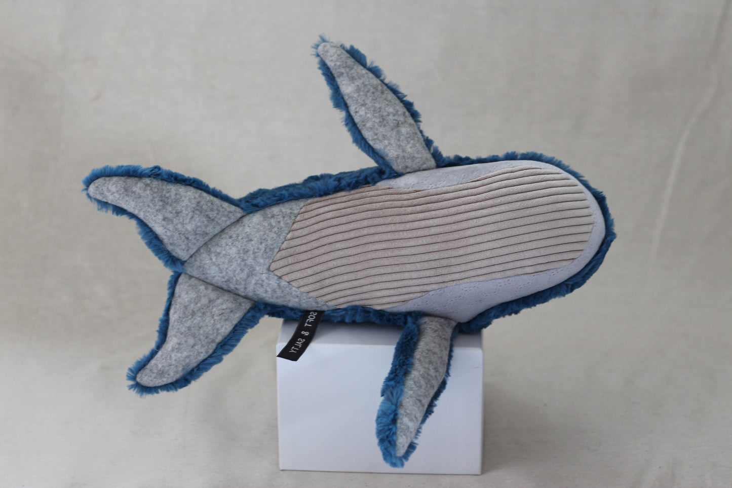 Fluffback Whale Calf