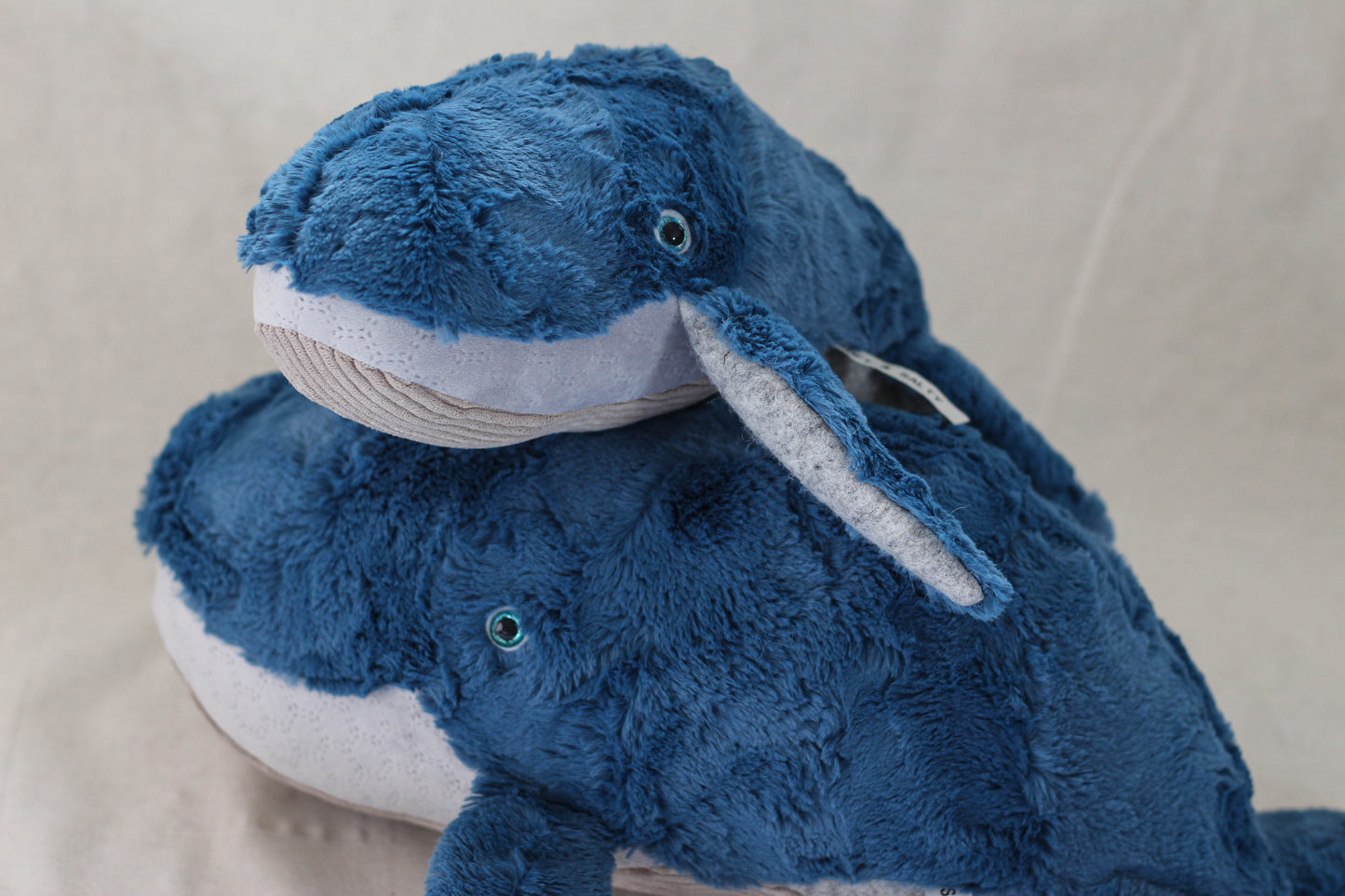 Fluffback Whale Calf