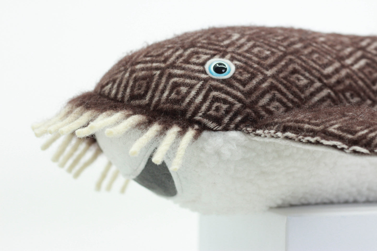 Wobbegong Pup (Limited Edition)