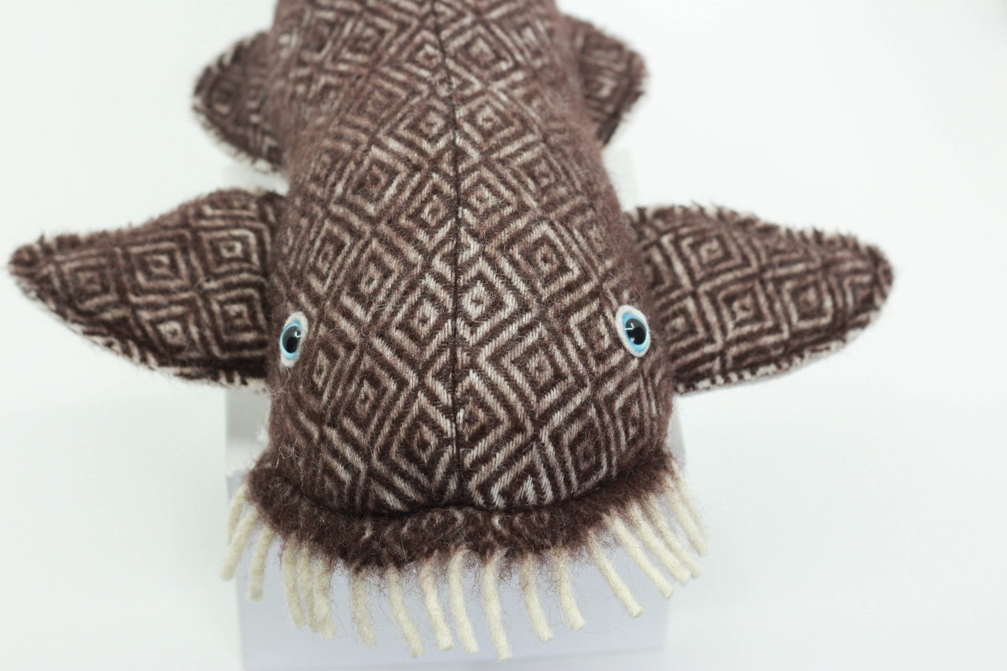 Wobbegong Pup (Limited Edition)