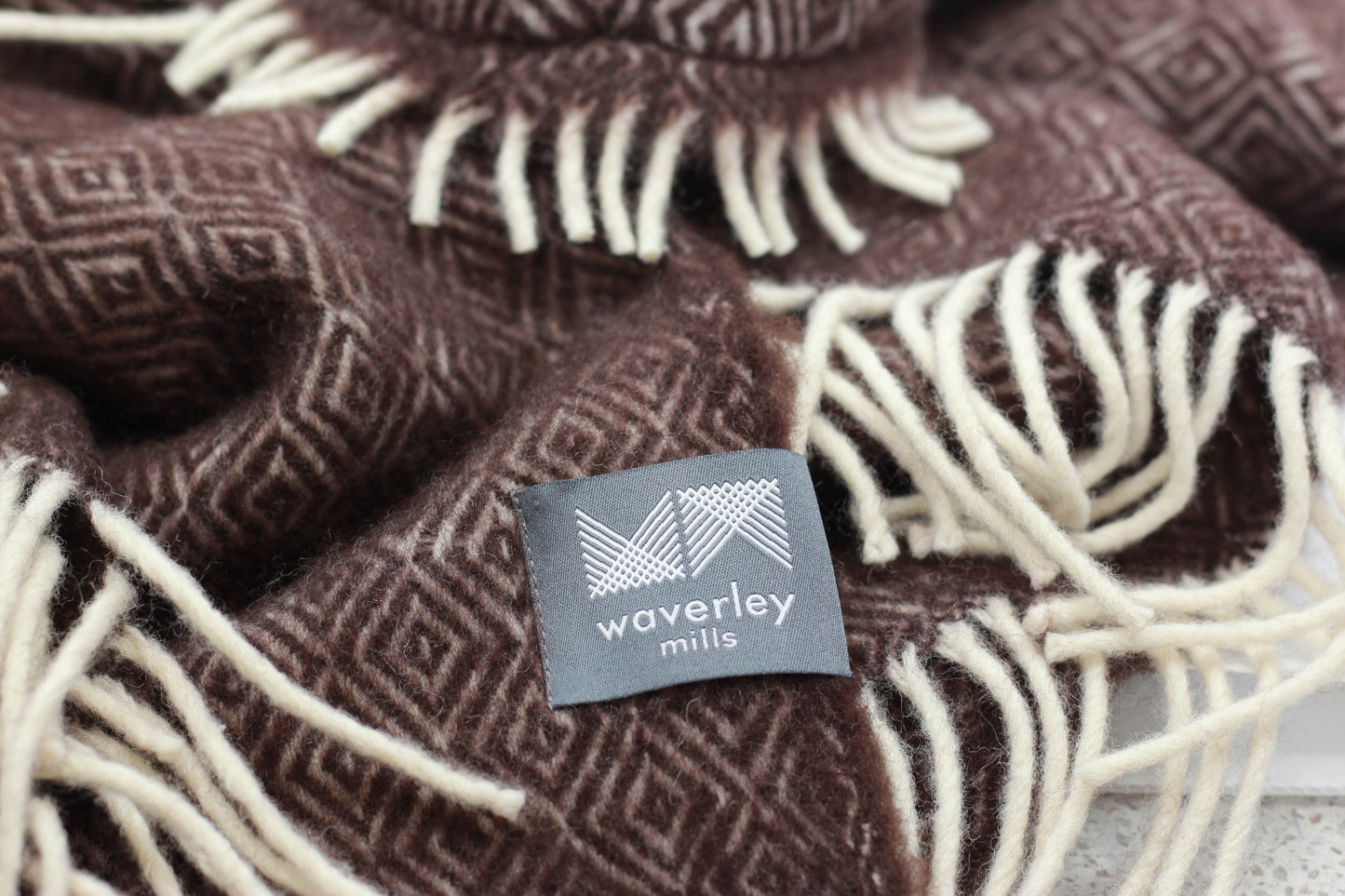 Wobbegong Pup (Limited Edition)