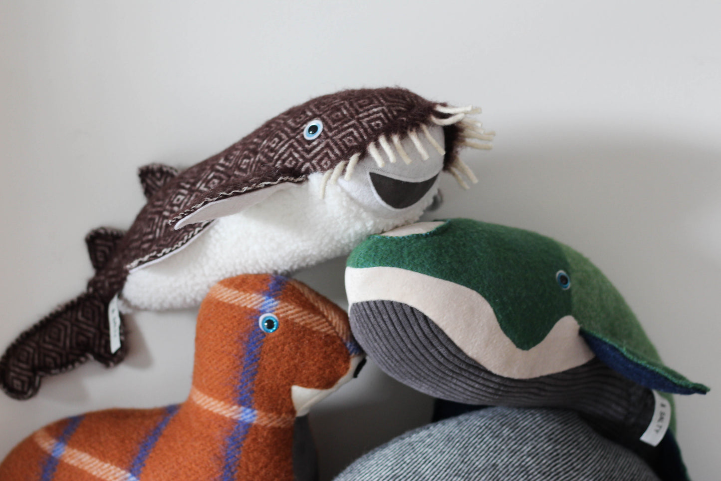 Wobbegong Pup (Limited Edition)