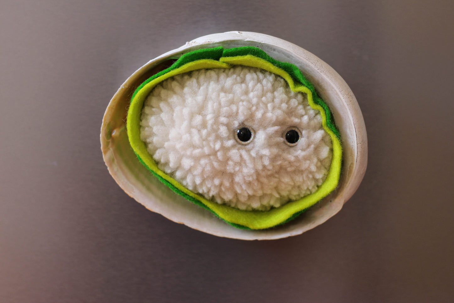 Green Lip Abalone Fridge Magnet
