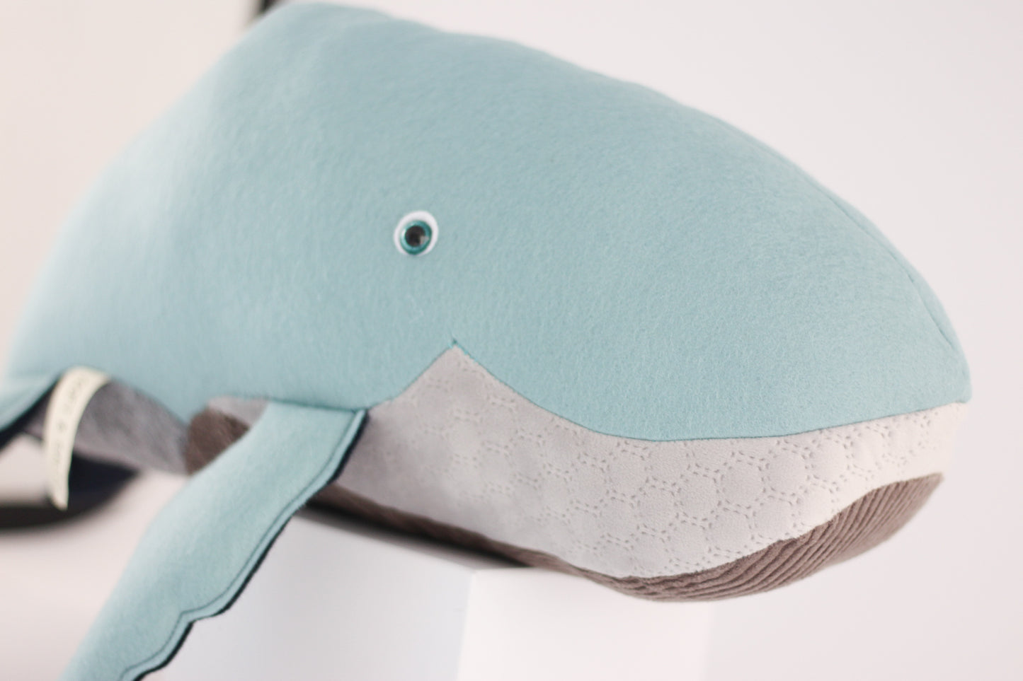 Daisy the Humpback Whale