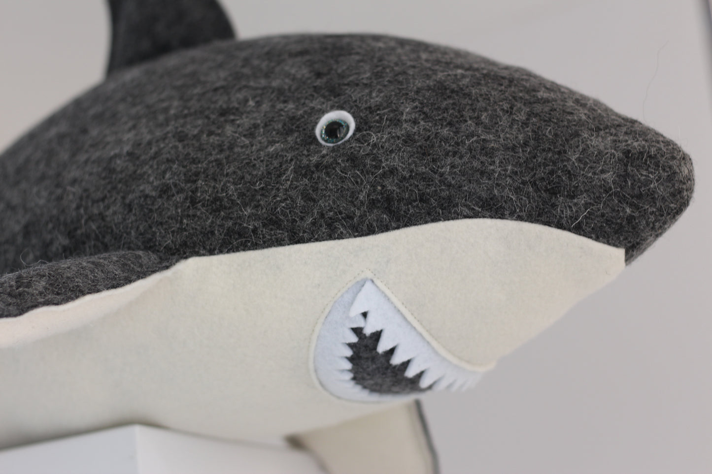 Gavin the Great White Shark