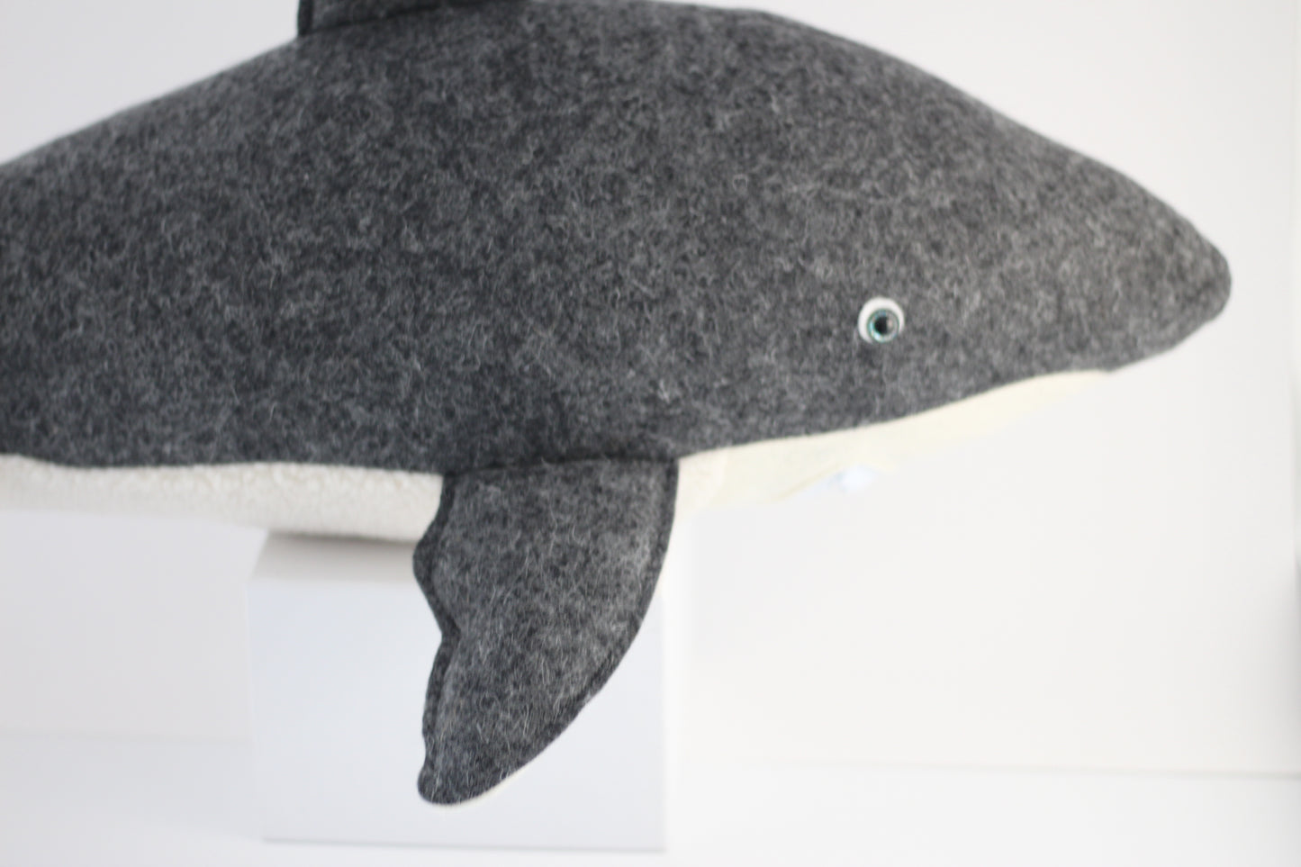 Gavin the Great White Shark