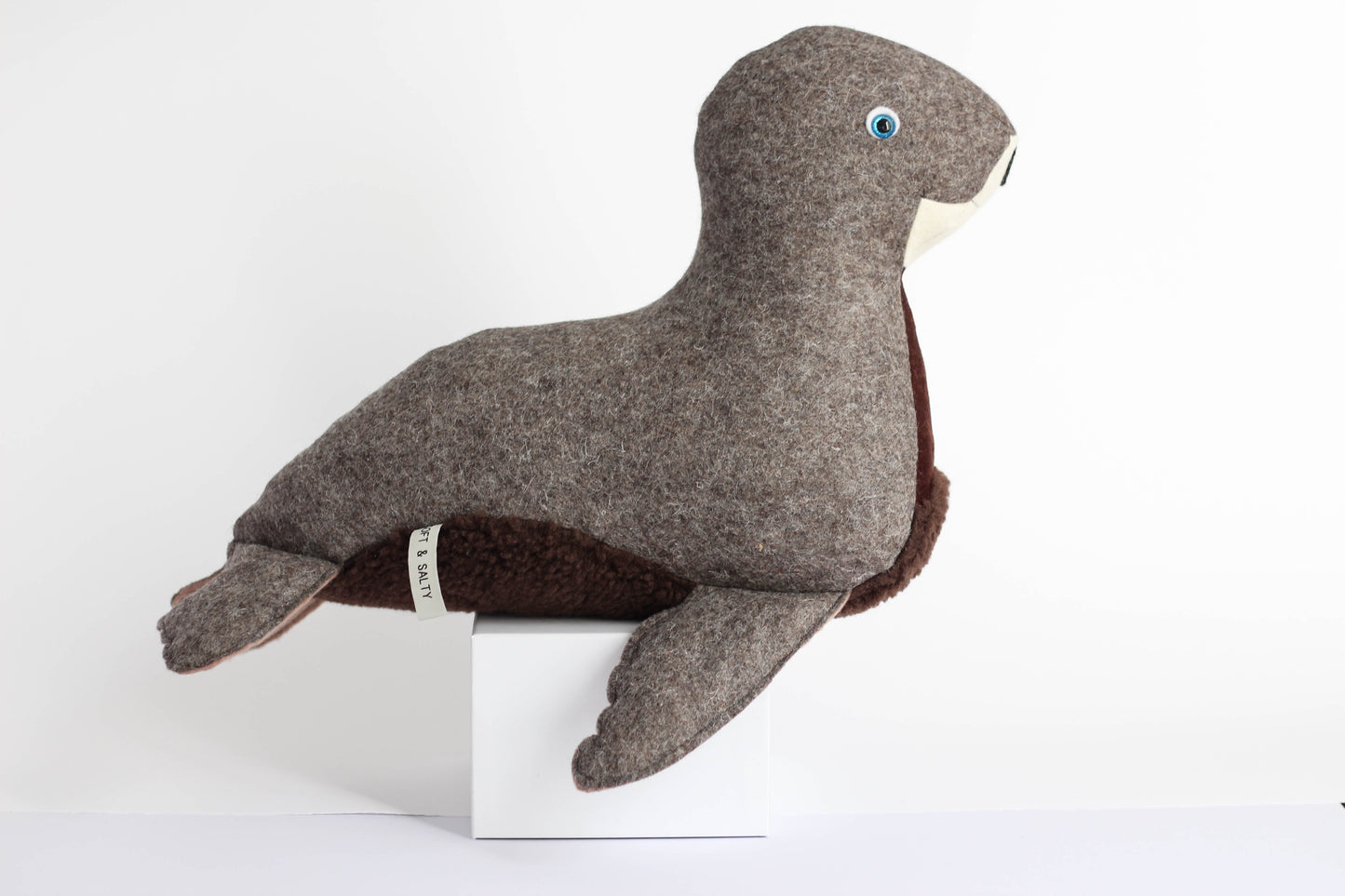 Stanley the Fur Seal