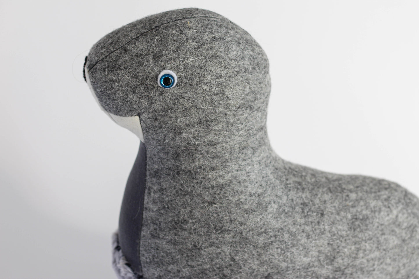 Stephanie the Fur Seal
