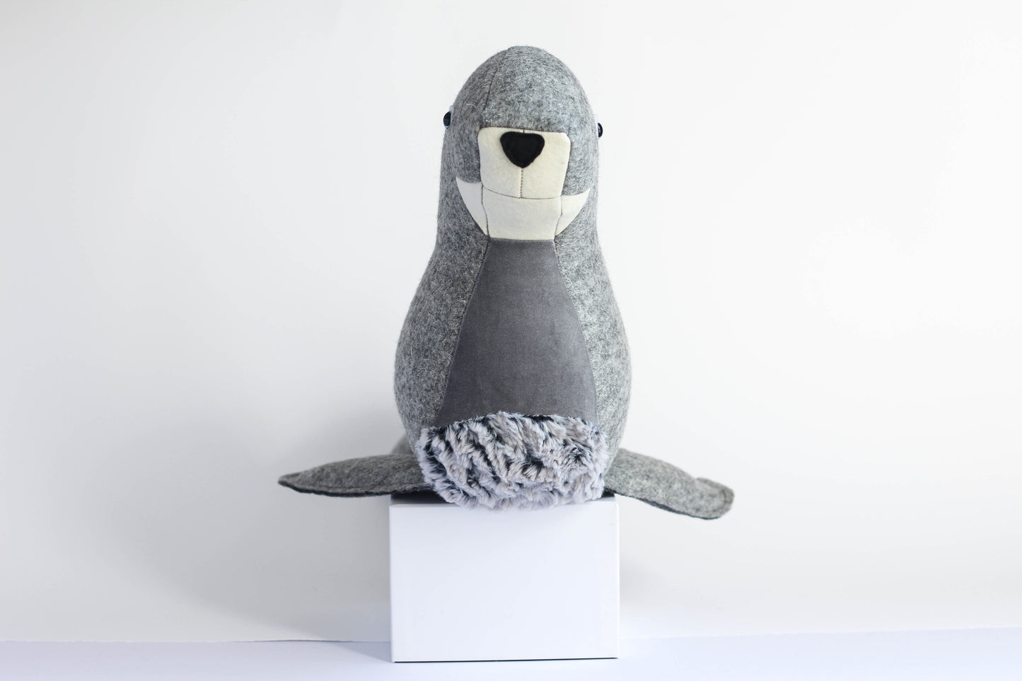 Stephanie the Fur Seal