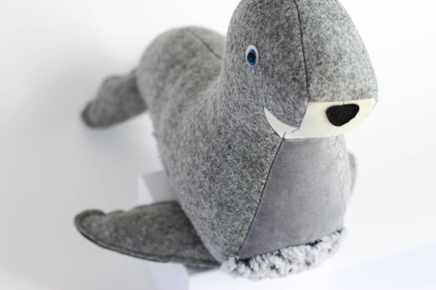Stephanie the Fur Seal