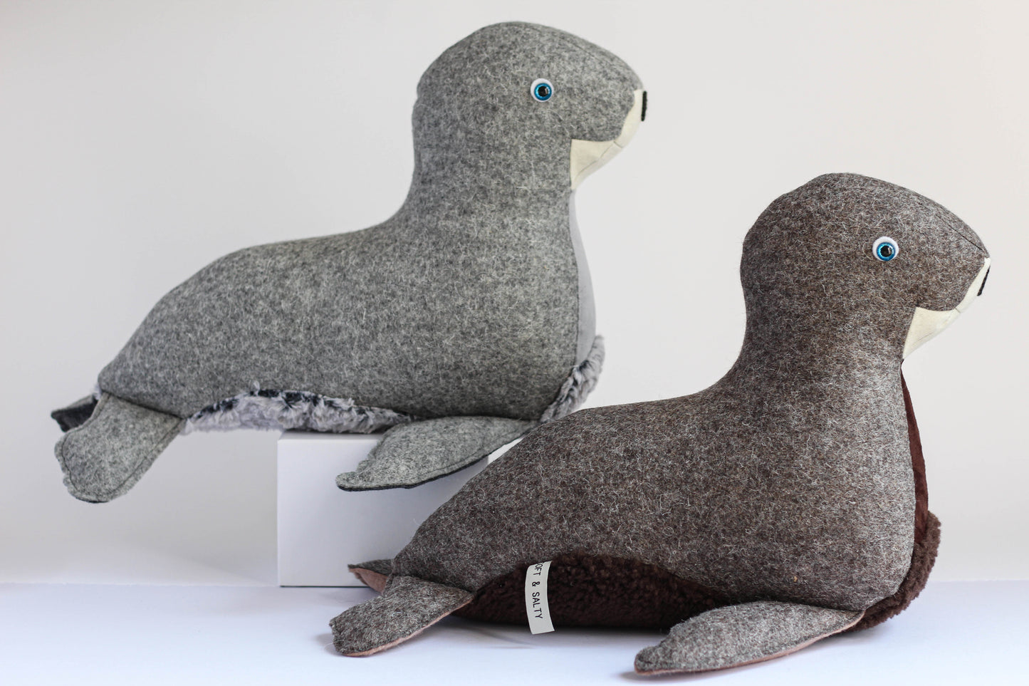 Stanley the Fur Seal